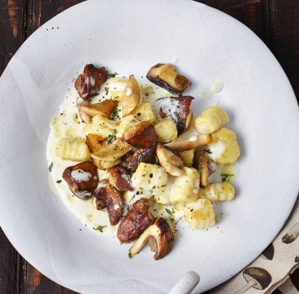 Selbst gemachte Gnocchi auf einem Teller getoppt mit gebratenen Steinpilzen und Käsesoße