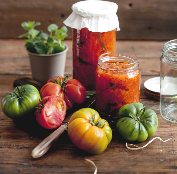 Tomatensoße in Schraubgläsern auf einem Holztisch, daneben Zutaten wie Tomaten