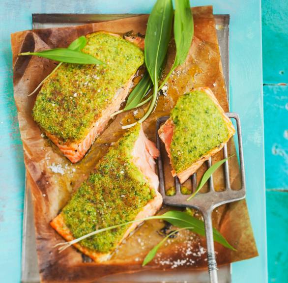 Mehrere Stücke gebackenes Lachsfilet mit Bärlauch-Parmesan-Kruste auf einem Backblech dekoriert mit frischen Bärlauchblättern