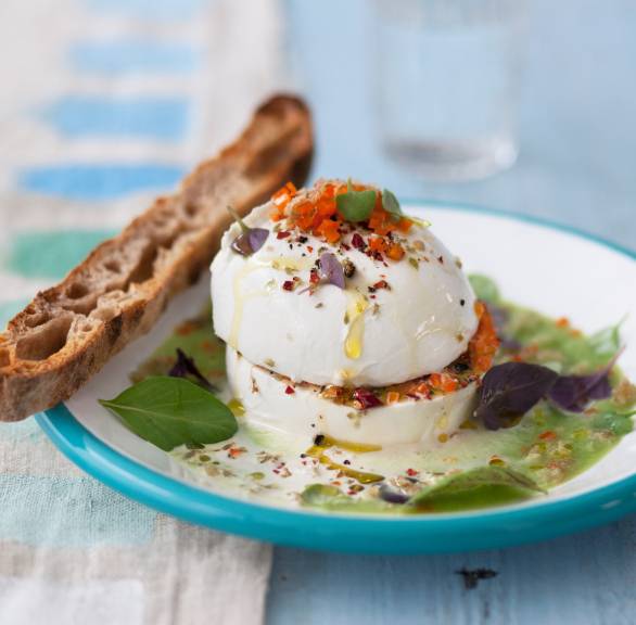 Mozzarella auf kalter Gurkensoße