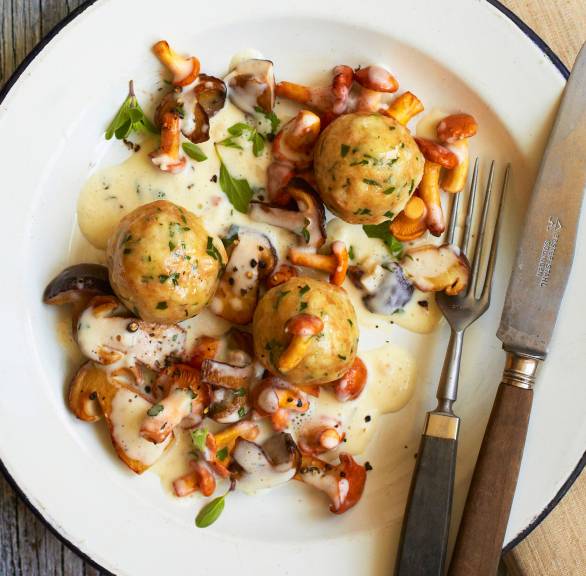 Semmelknödel und Pilzragout angerichtet auf einem Teller