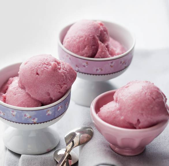 Selbst gemachtes Rhabarbersorbet in drei Eisschalen auf einem Tisch