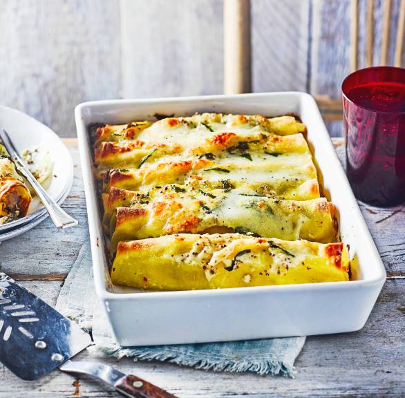 Schnelle Cannelloni mit Salsicciafüllung