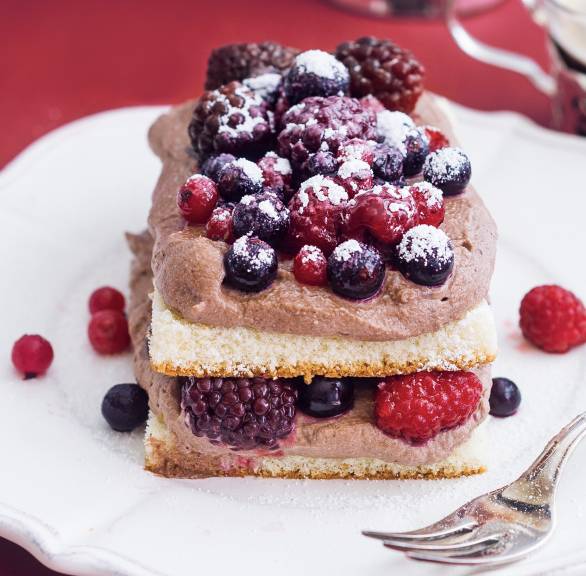 Ricotta-Schoko-Türmchen mit Biskuit & Beeren angerichtet auf einem Dessertteller bestäubt mit Puderzucker