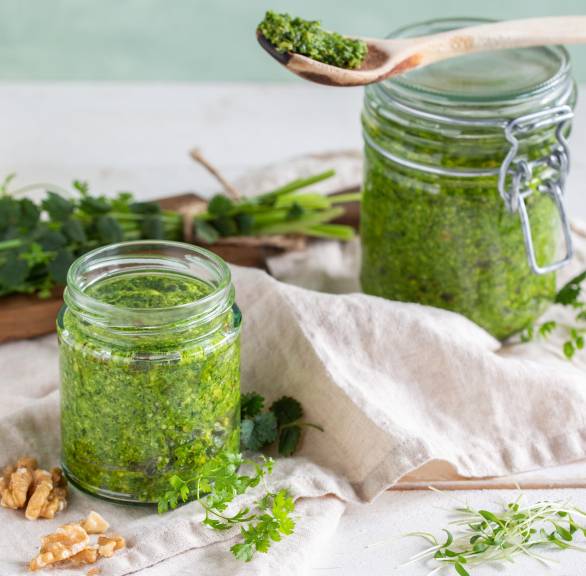 Wildkräuterpesto