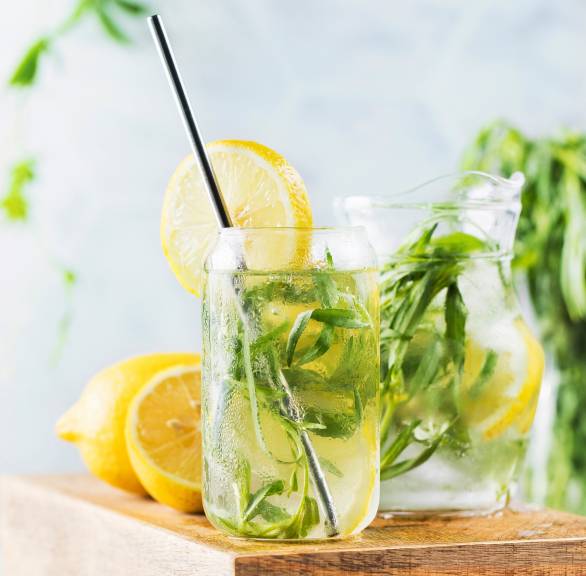 Zitronen-Estragon-Limo