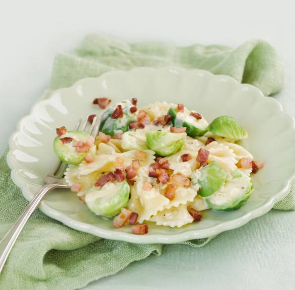 Farfalle mit Rosenkohl und Senfsoße