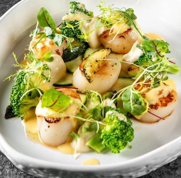 Gebratene Jakobsmuscheln, Gemüse und Salat auf einem runden weißen Vorspeisenteller mit Sauce angerichtet