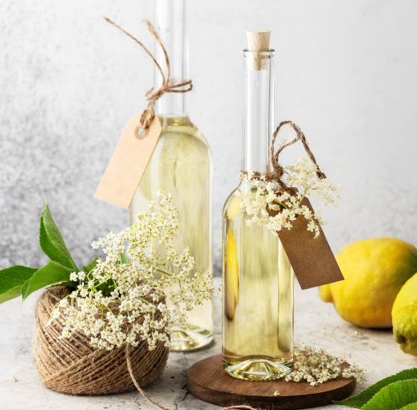 Selber gemachter Holunderblütensirup in zwei Flachen mit Etikett auf einem Tisch, daneben Holunderblütenzweige und Zitronen