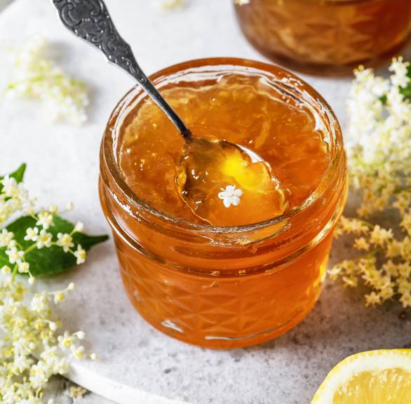Selbst gemachtes Holunderblütengelee in zwei Einmachgläsern auf einem Tisch, daneben Holunderblütenzweige und Zitronen