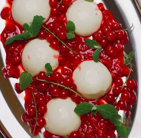 Panna Cotta in Kugeln auf einem Teller, darauf mit roter Johannisbeercoulis und frische Johannissbereen sowie frische Minzblätter
