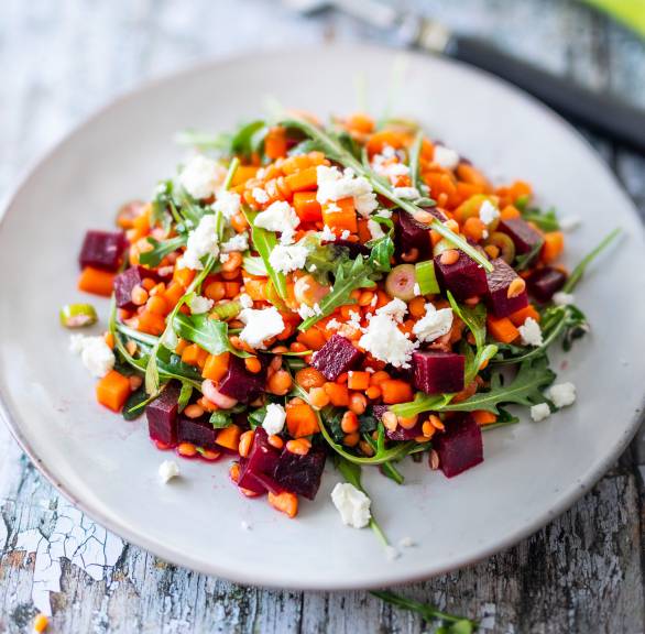 Rote Linsen-Salat mit Rote Bete, Karotten, Rucola und Feta angerichtet auf einem Teller