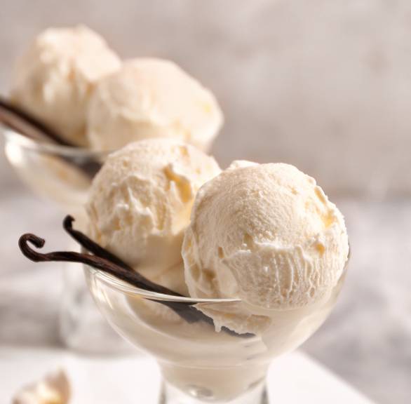 Selbstgemachtes Vanilleeis in zwei Eisschalen garniert mit Vanilleschoten