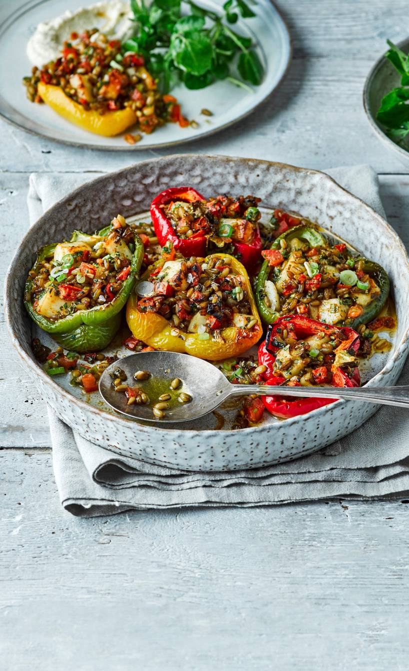 Mehrere gebackene, gefüllte Paprikaschoten mit Feta und Sonnenweizen in einer Auflaufform