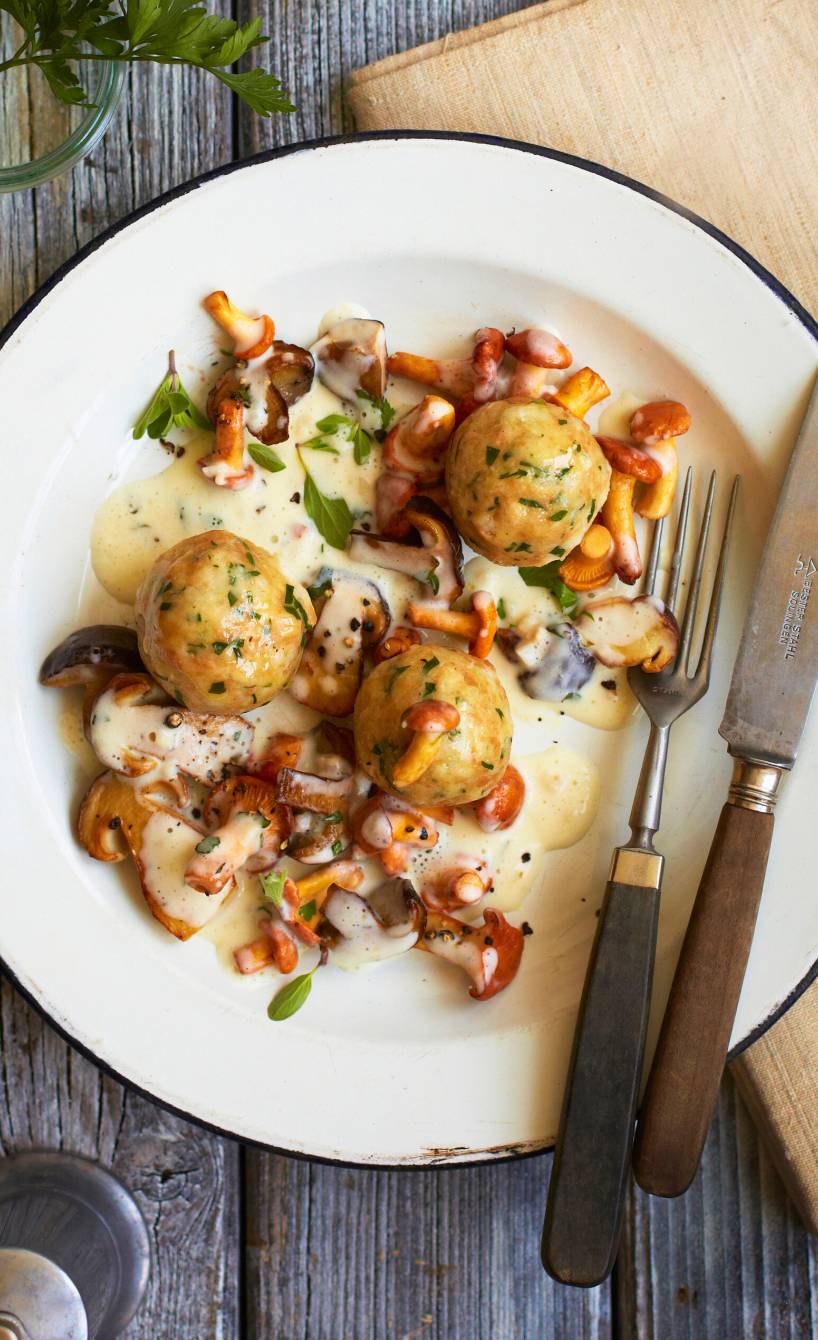 Semmelknödel und Pilzragout angerichtet auf einem Teller