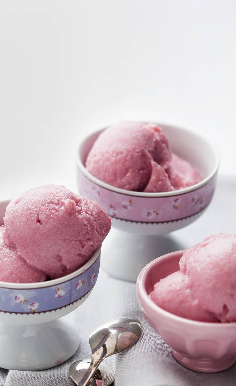 Selbst gemachtes Rhabarbersorbet in drei Eisschalen auf einem Tisch