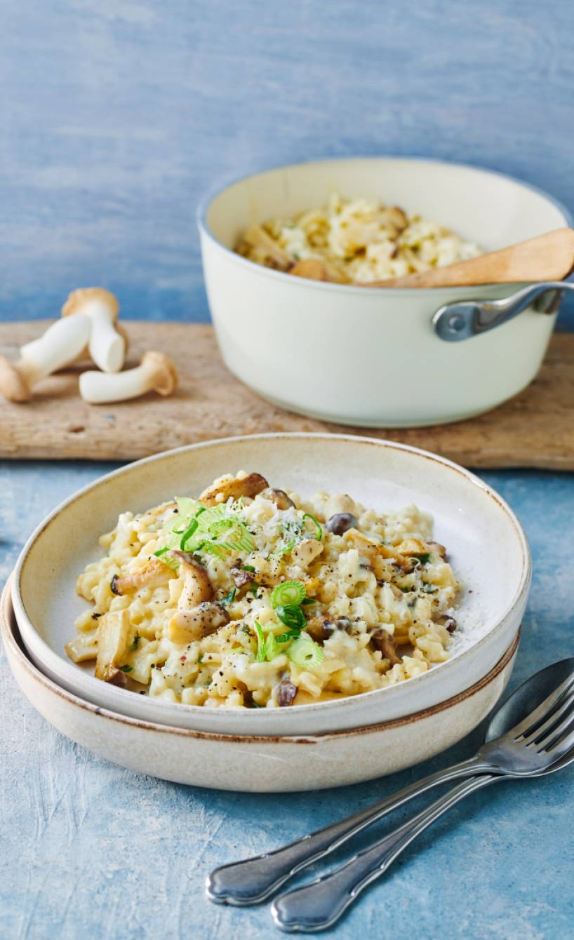 Risotto mit Kräuterseitlingen