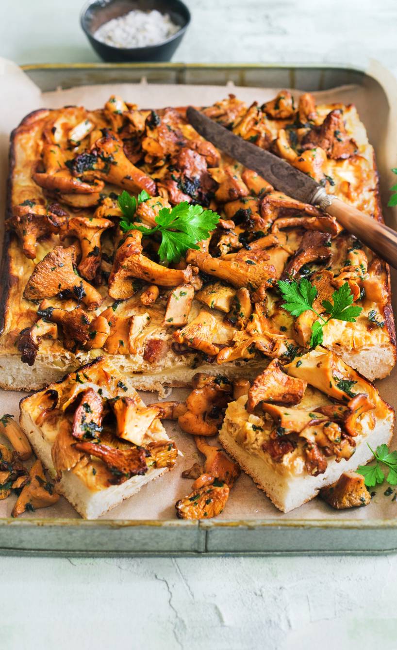 Rechteckige Zwiebel-Focaccia mit Pfifferlingen angeschnitten auf einem Backblech