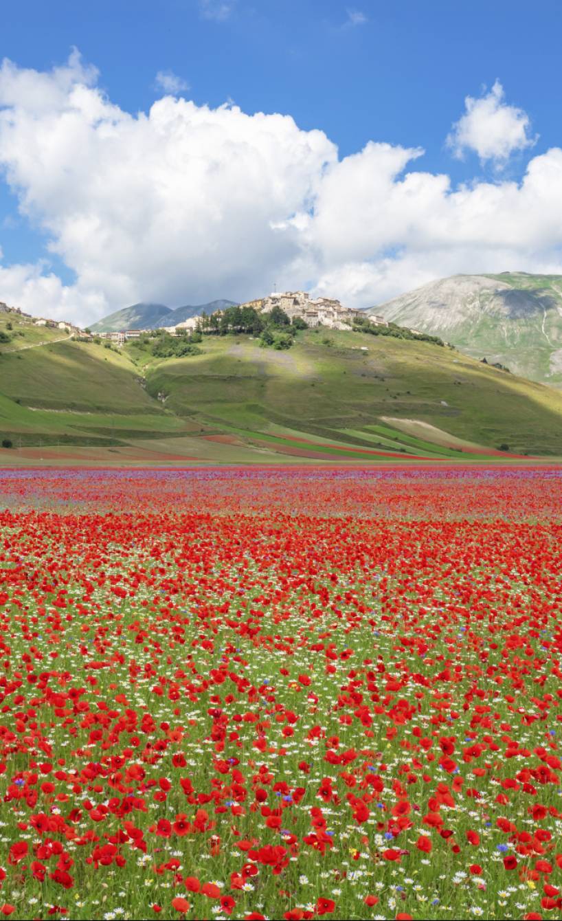 Blick auf eine Landschaft in Umbrien