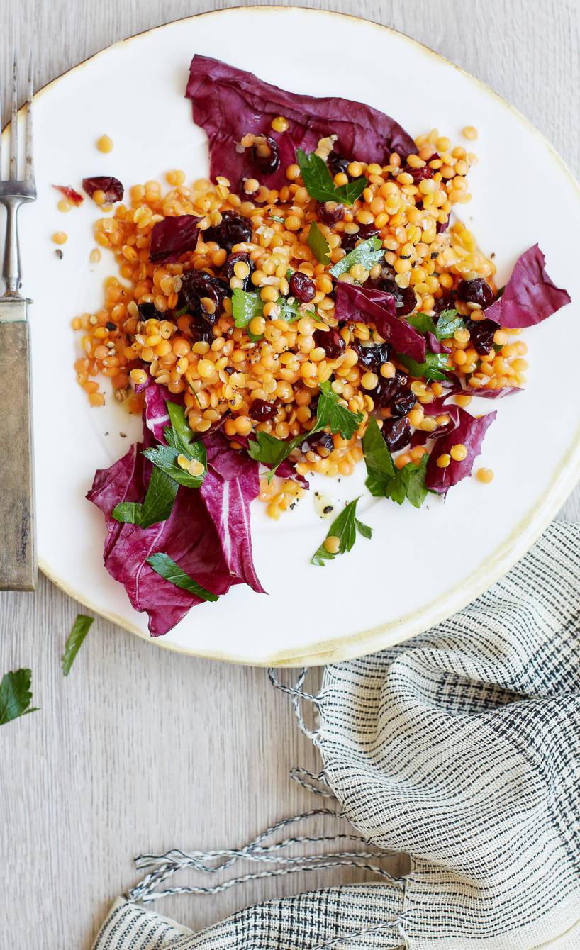 Salat aus roten Linsen und getoppt von Cranberrys auf einem Teller