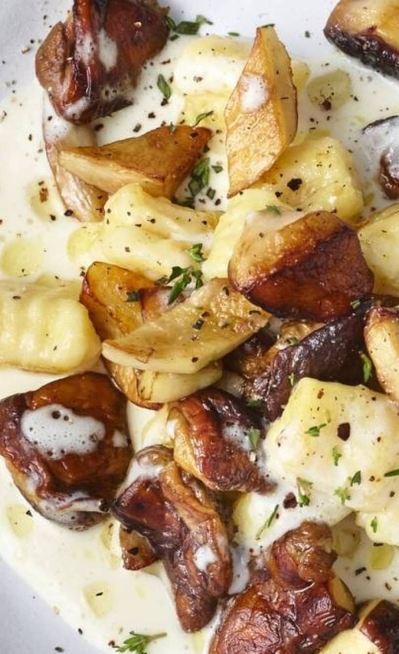 Gnocchi mit Weißwein-Käsesoße und Pilzen auf einem Teller