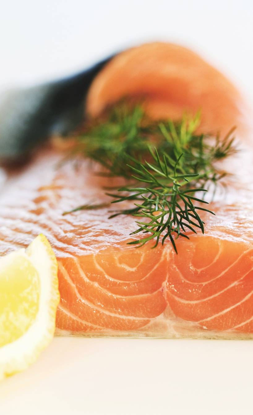 Rohes Lachsfilet im closeup, garniert mit Kräutern und Zitronenspalten