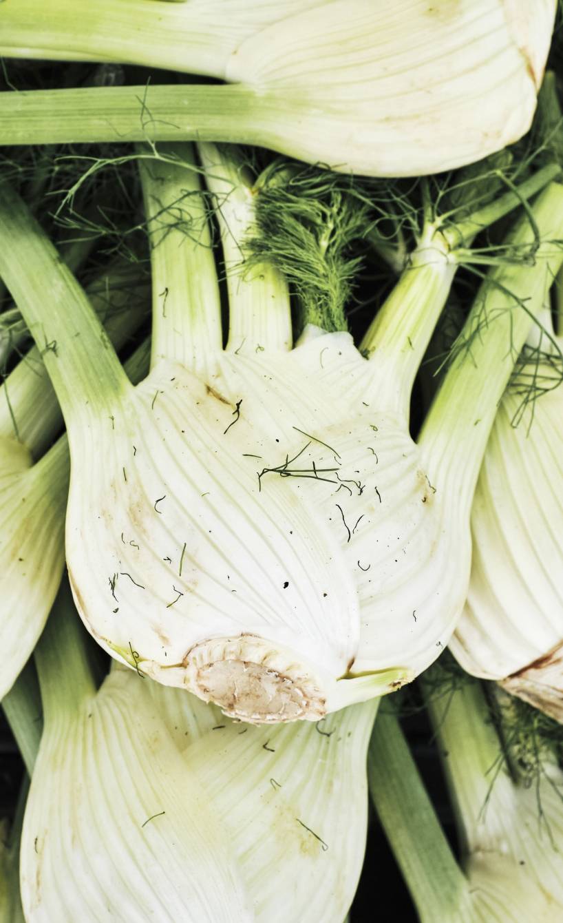 Frische Fenchelknollen in einer Holzkiste