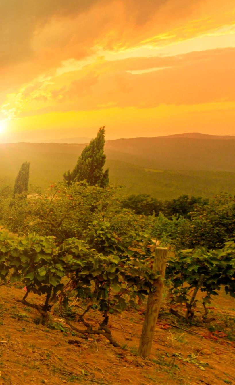 Toskanisches Weingut in der Toskana in der Abendsonne