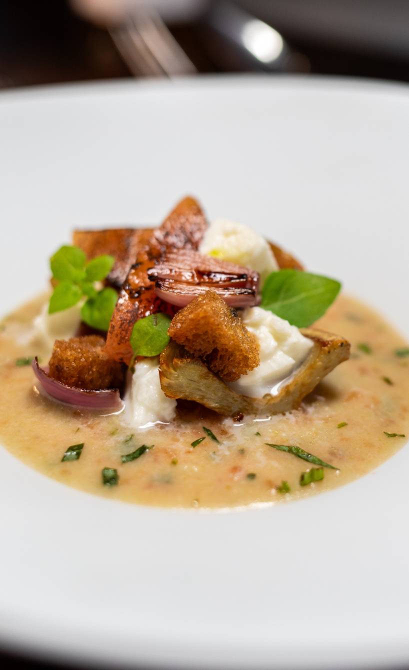 Artischocken-Gazpacho angerichtet auf einem Teller garniert mit Tomaten-Brot-Salat und Burrata im Landhaus Stricker von Holger Bodendorf