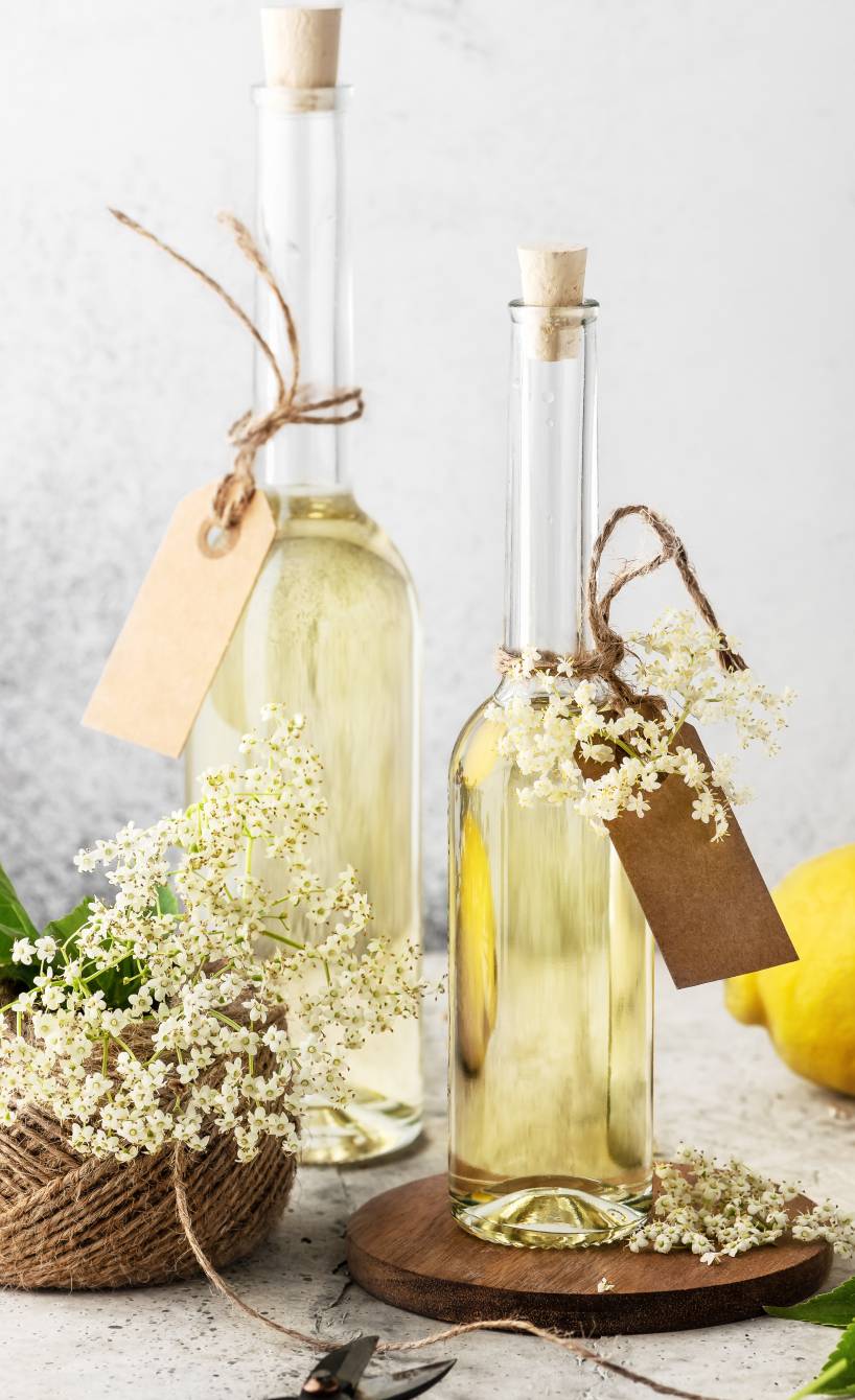 Selber gemachter Holunderblütensirup in zwei Flachen mit Etikett auf einem Tisch, daneben Holunderblütenzweige und Zitronen