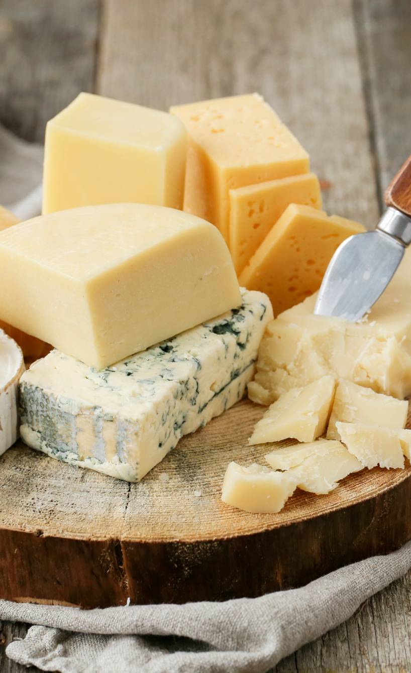 Verschiedene Stücke italienischer Käsesorten arrangiert als Platte auf einer Baumscheibe