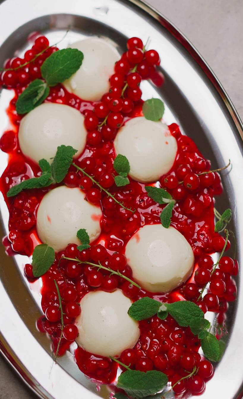 Panna Cotta in Kugeln auf einem Teller, darauf mit roter Johannisbeercoulis und frische Johannissbereen sowie frische Minzblätter