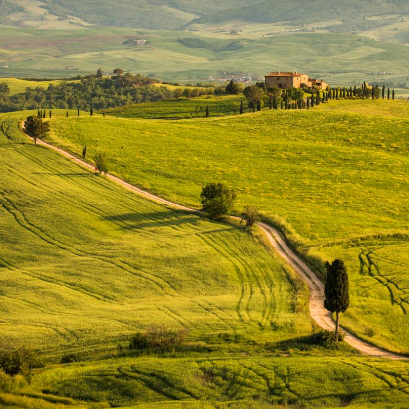 Blick auf die hügelige Landschaft der Toskana